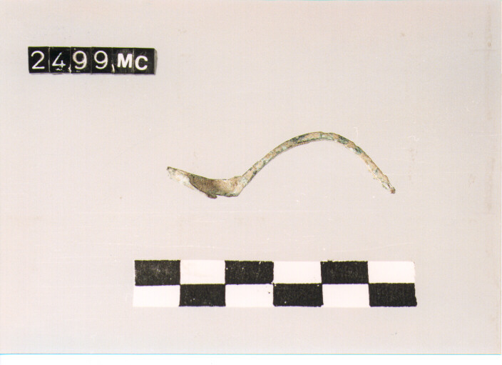 fibula/ staffa - CULTURA TOMBE A FOSSA (SECC. IX/VIII A.C)