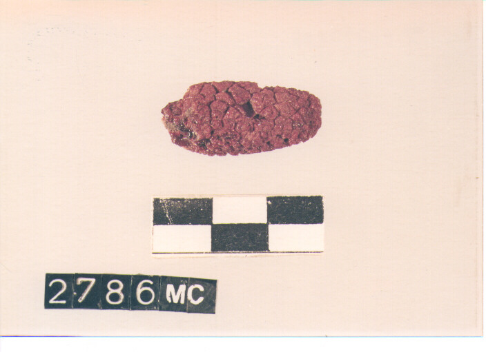 perla (SEC. VIII A.C)