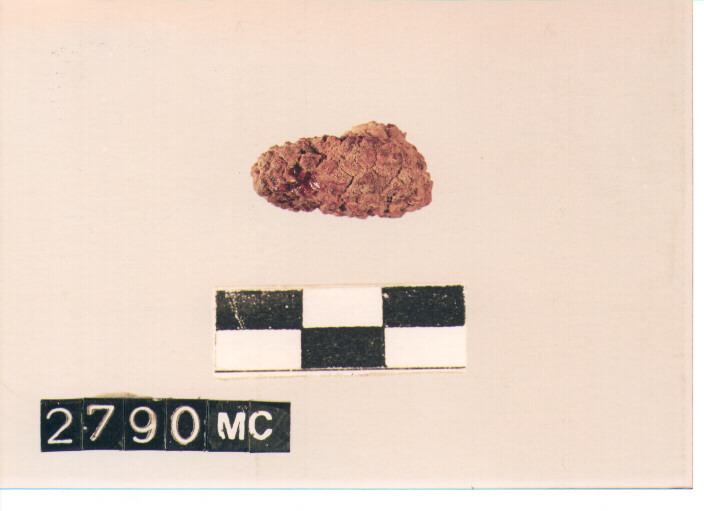 perla (SEC. VIII A.C)