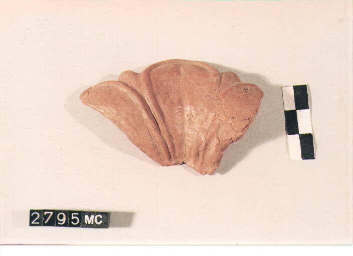 FOGLIA\FRAMMENTO (secc. IV/ III a.C)