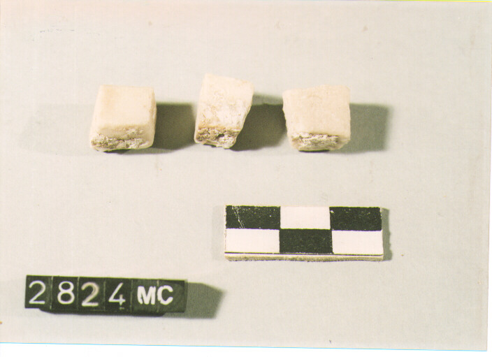 mosaico/ frammento (secc. I/ II d.C)