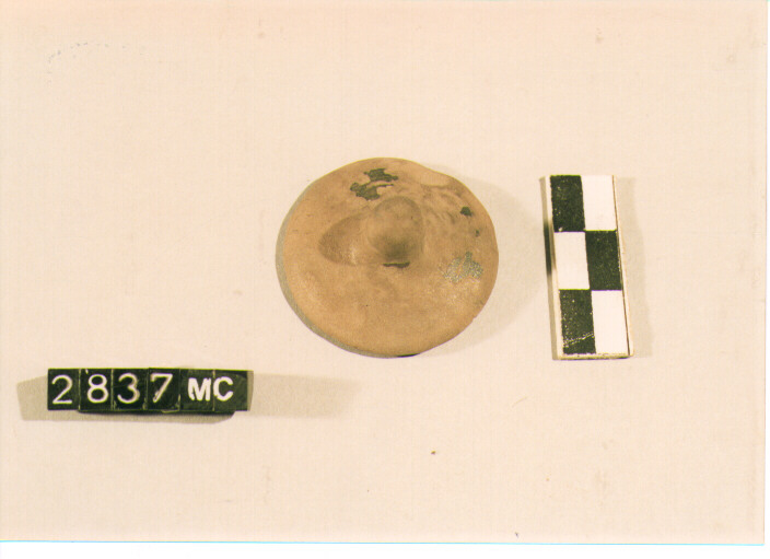 ampolla/ coperchio (secc. IV/ III a.C)