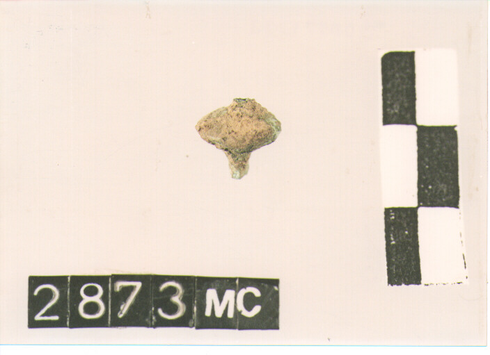 fibula/ frammento (secc. IV/ III a.C)