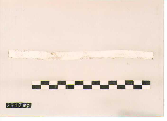 ALARE/ FRAMMENTO (secc. IV/ III a.C)