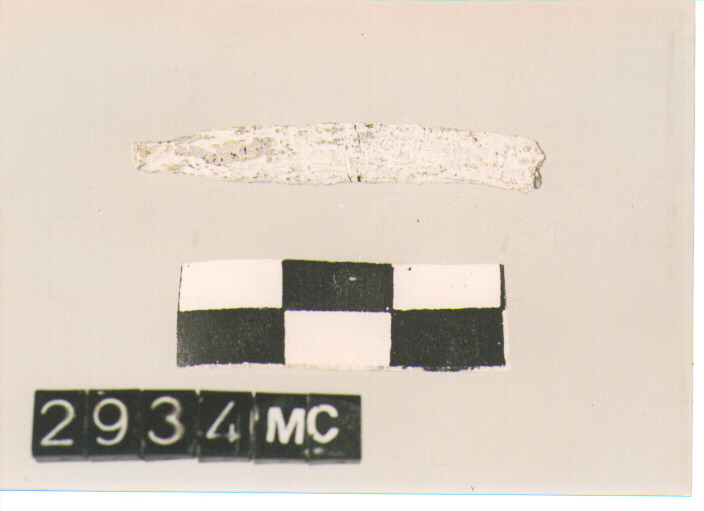 ALARE/ FRAMMENTO (secc. IV/ III a.C)