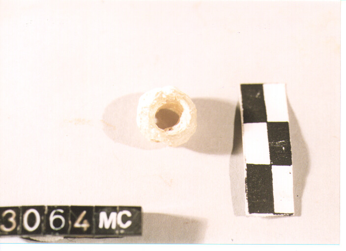 VAGO (secc. IV/ III a.C)