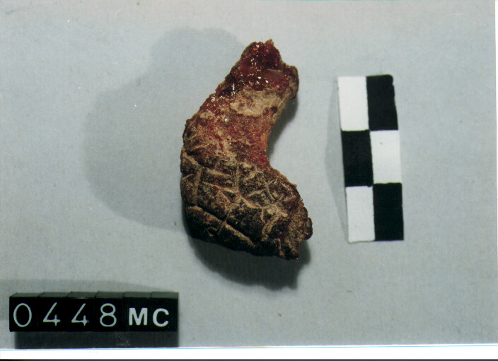 GRANO - CULTURA TOMBE A FOSSA (SECC. IX/VIII A.C)