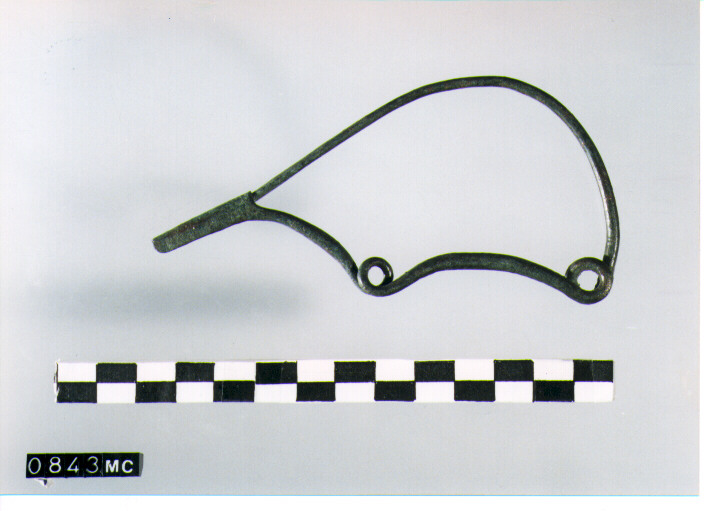 FIBULA SERPEGGIANTE, ORSI ,TIPO SICULO - CULTURA TOMBE A FOSSA (SECC. IX/VIII A.C)