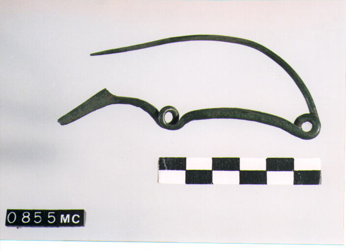 FIBULA SERPEGGIANTE, ORSI ,TIPO SICULO - CULTURA TOMBE A FOSSA (SECC. IX/VIII A.C)