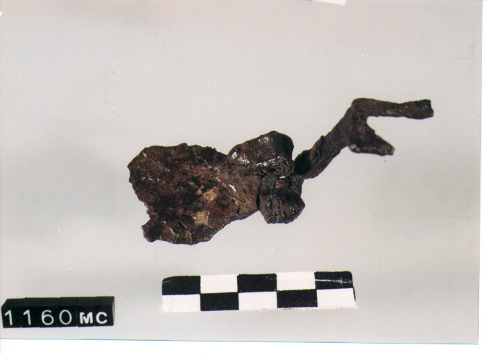 fibula/ staffa - CULTURA TOMBE A FOSSA ( SEC. VIII A.C)