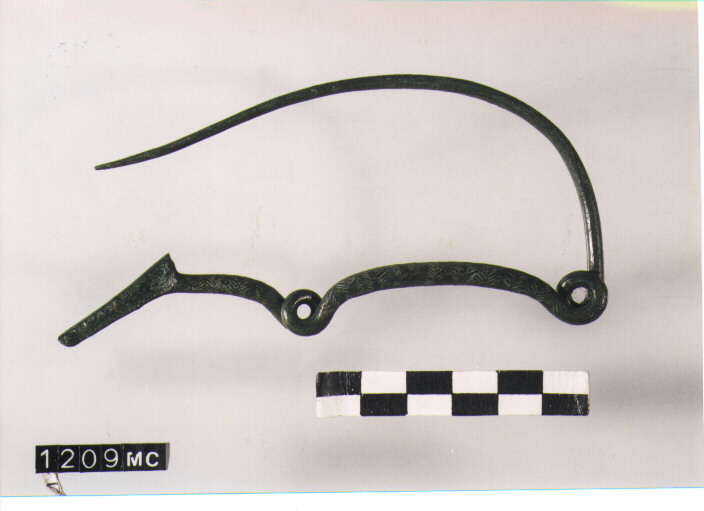 FIBULA SERPEGGIANTE, ORSI ,TIPO SICULO - CULTURA TOMBE A FOSSA (SECC. IX/VIII A.C)