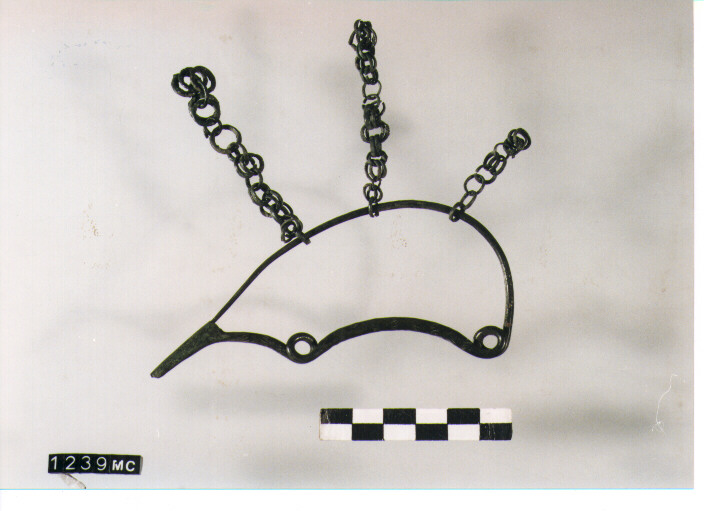 FIBULA SERPEGGIANTE, ORSI ,TIPO SICULO - CULTURA TOMBE A FOSSA (SECC. IX/VIII A.C)