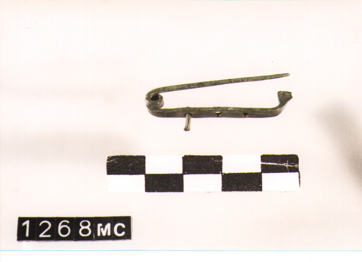 fibula, PBF 7330 - CULTURA TOMBE A FOSSA (SEC. VIII A.C)