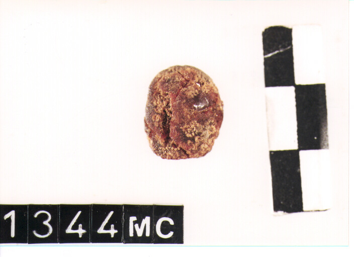 GRANO - CULTURA TOMBE A FOSSA (SECC. IX/VIII A.C)