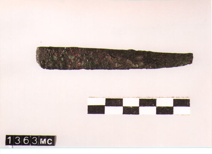 FIBULA SERPEGGIANTE, ORSI ,TIPO SICULO - CULTURA TOMBE A FOSSA (SECC. IX/VIII A.C)