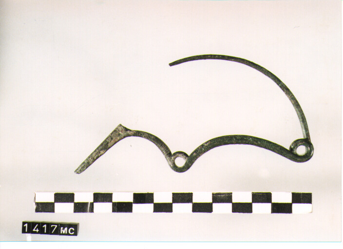 FIBULA SERPEGGIANTE, ORSI ,TIPO SICULO - CULTURA TOMBE A FOSSA (SEC. IX A.C)