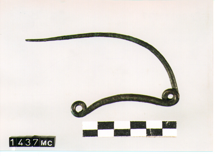 FIBULA SERPEGGIANTE, ORSI ,TIPO SICULO - CULTURA TOMBE A FOSSA (SECC. IX/VIII A.C)