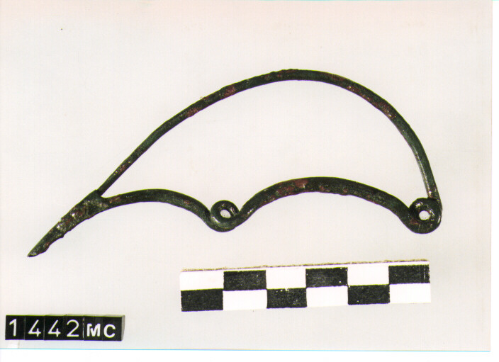 FIBULA SERPEGGIANTE, ORSI ,TIPO SICULO - CULTURA TOMBE A FOSSA (SECC. IX/VIII A.C)