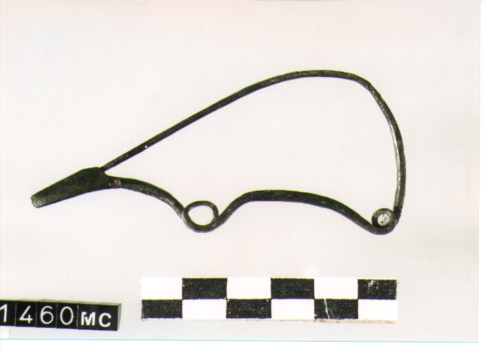 FIBULA SERPEGGIANTE, ORSI ,TIPO SICULO - CULTURA TOMBE A FOSSA (SECC. IX/VIII A.C)