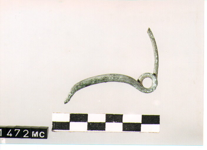 FIBULA SERPEGGIANTE, ORSI ,TIPO SICULO - CULTURA TOMBE A FOSSA (SECC. IX/VIII A.C)