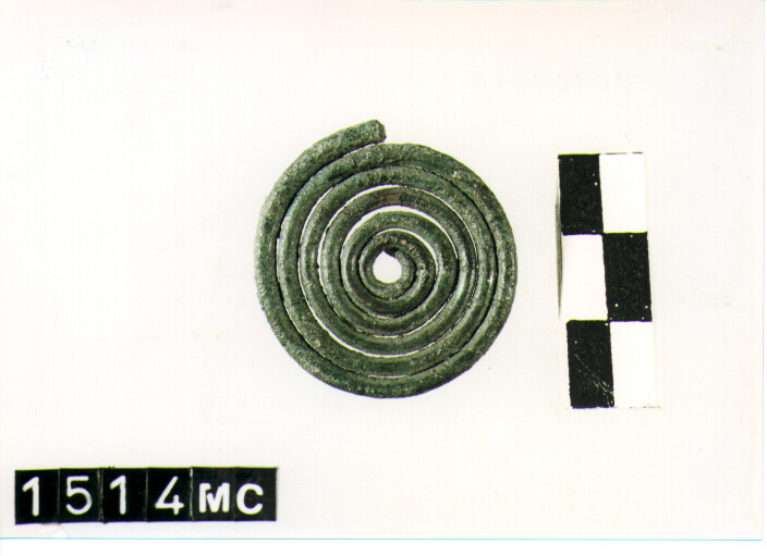 fibula/ spirale - CULTURA TOMBE A FOSSA (SEC. VIII A.C)