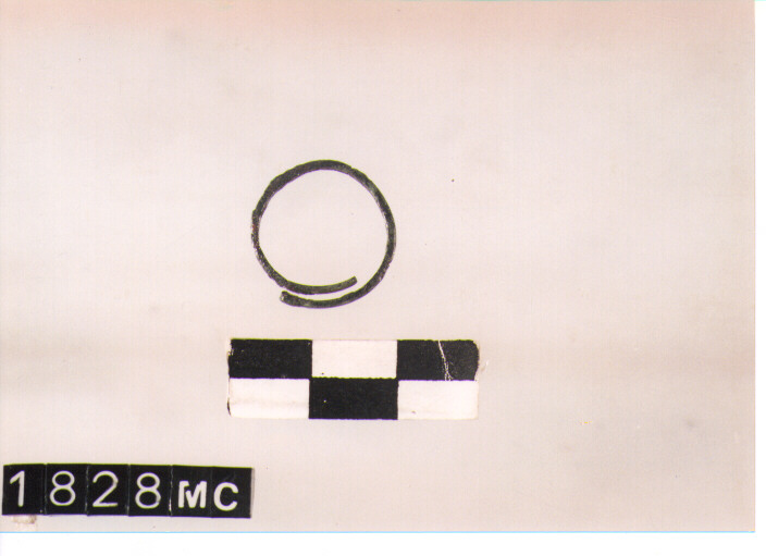 SPIRALE - CULTURA TOMBE A FOSSA (SECC. IX/VIII A.C)