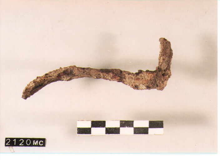 FIBULA SERPEGGIANTE - CULTURA TOMBE A FOSSA (SECC. IX/VIII A.C)