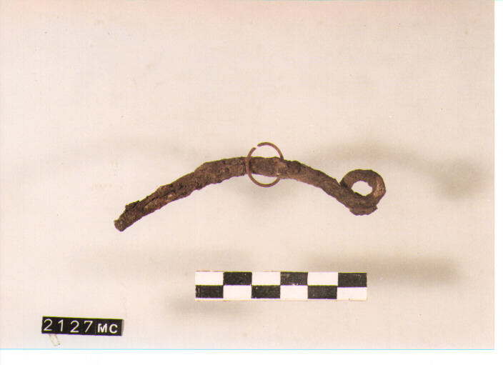 fibula serpeggiante/ frammento - CULTURA TOMBE A FOSSA (SECC. IX/VIII A.C)