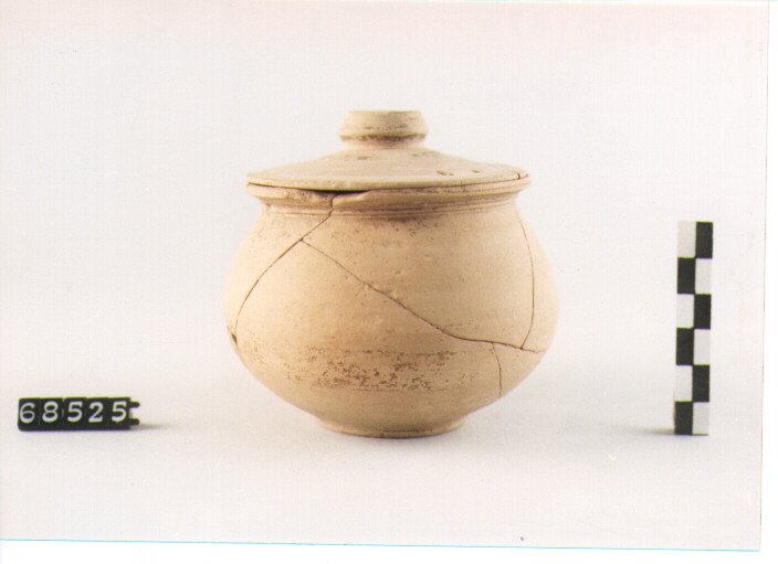 PISSIDE CON COPERCHIO - PRODUZIONE LOCALE (SEC. VII A.C)