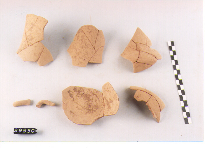 PISSIDE/ FRAMMENTO - PRODUZIONE LOCALE (Prima metà SEC. VII A.C)