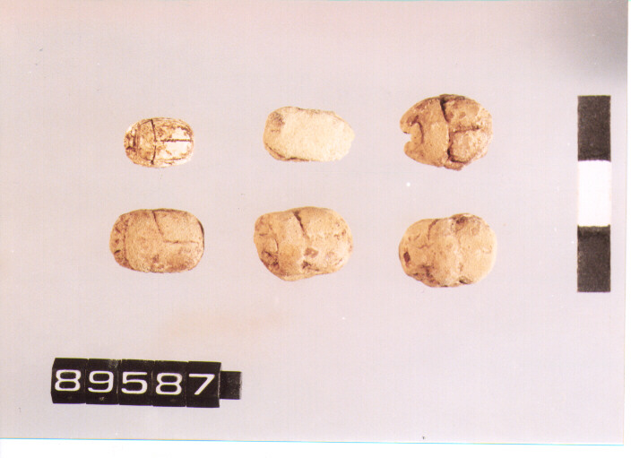 SCARABEI (SEC. VII A.C)