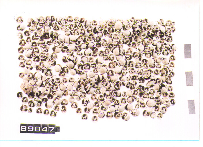 bottone (secc. VIII/ VII a.C)