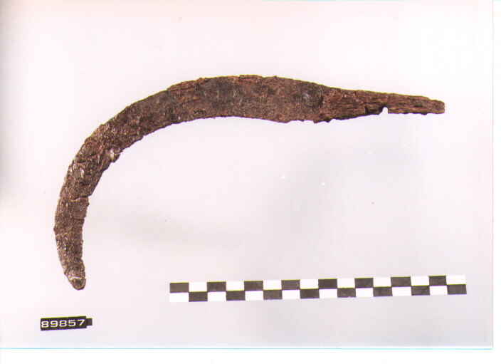 FALCETTO (secc. VIII/ VII a.C)