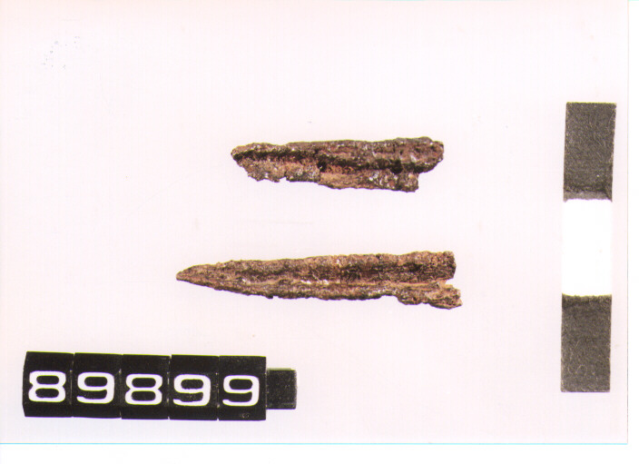 fibula/ staffa (secc. VIII/ VII a.C)