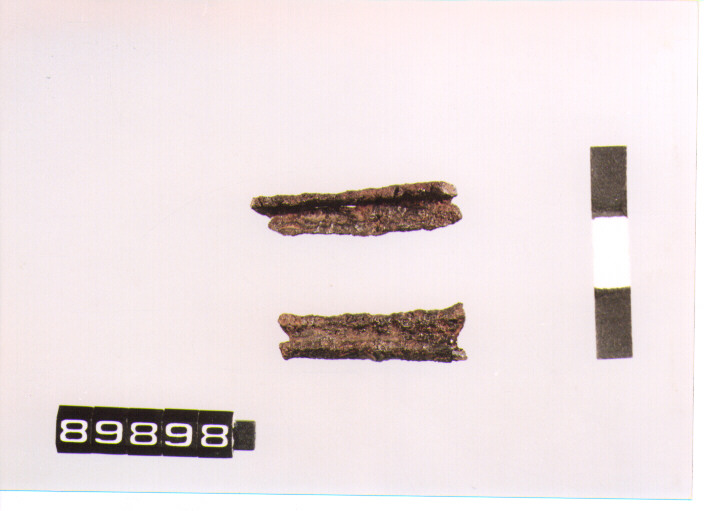 fibula/ staffa (secc. VIII/ VII a.C)