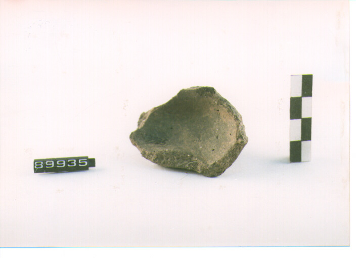 CIOTOLA CARENATA/ FRAMMENTO (secc. XI/ X a.C)