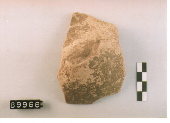 brocca/ parete - AMBITO LOCALE (SEC. VIII A.C)