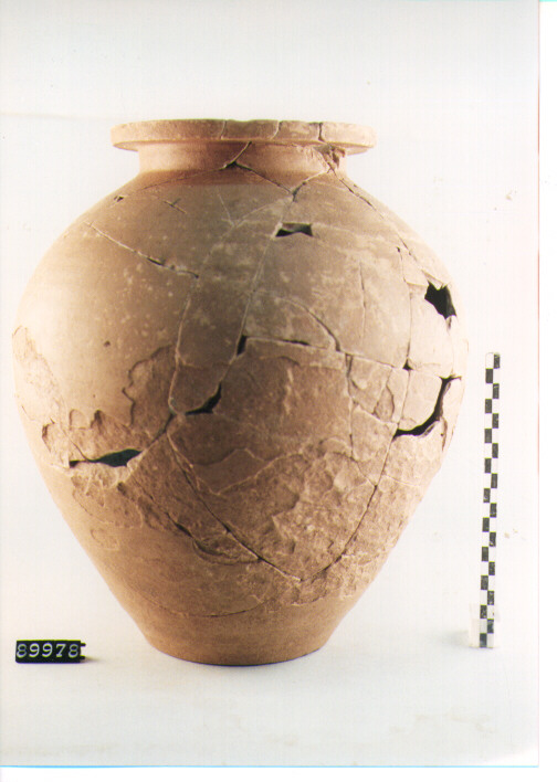 DOLIO - AMBITO LOCALE (SEC. VI A.C)