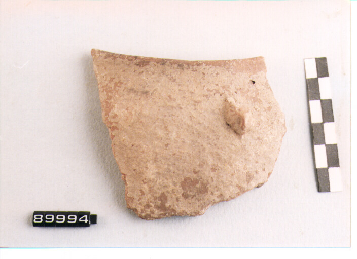 dolio/ orlo - AMBITO LOCALE (SEC. VIII A.C)