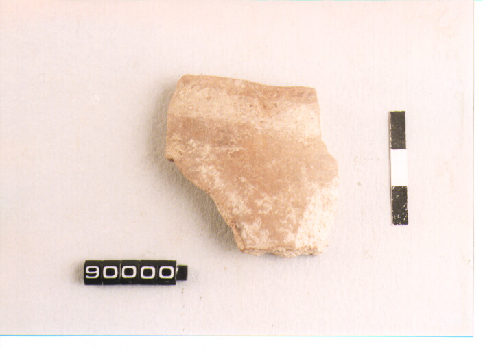 dolio/ orlo (SEC. VIII A.C)