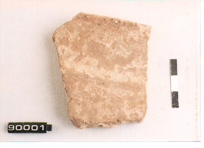 dolio/ orlo (SEC. VIII A.C)