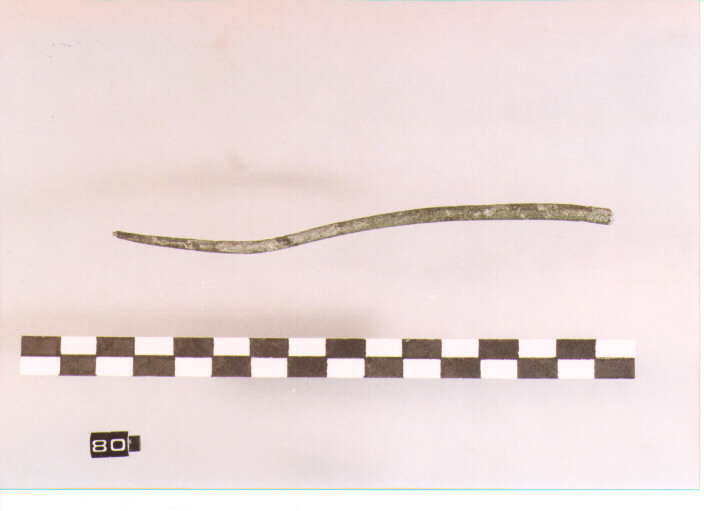 fibula/ ago (SECC. IX/VIII A.C)