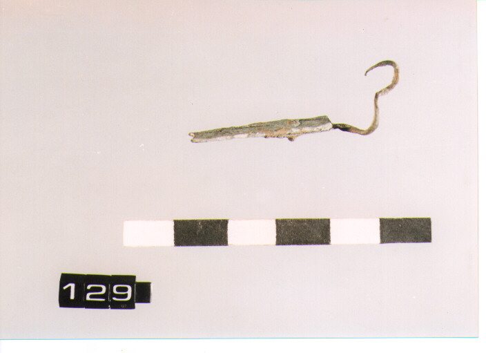 fibula/ frammento (SEC. VIII A.C)