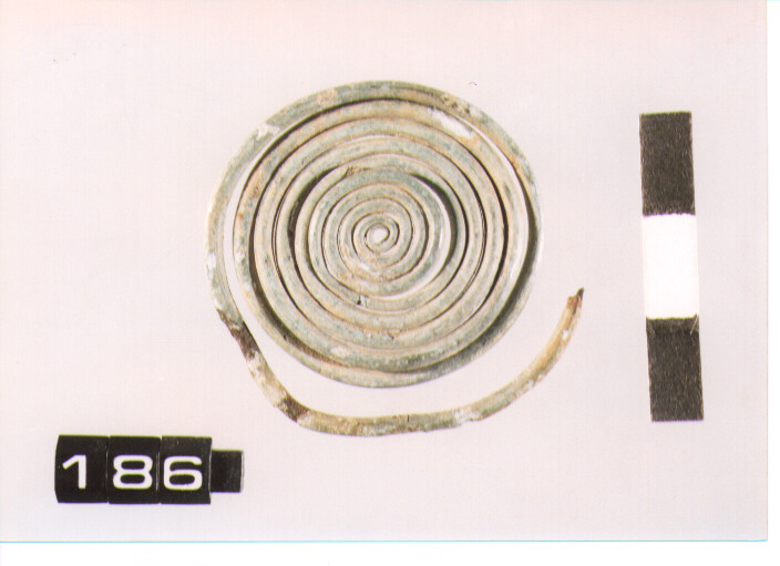 fibula/ spirale (SECC. IX\VIII A.C)