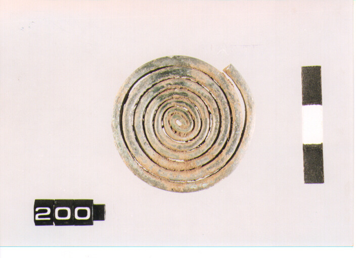 fibula/ spirale (SECC. IX\VIII A.C)