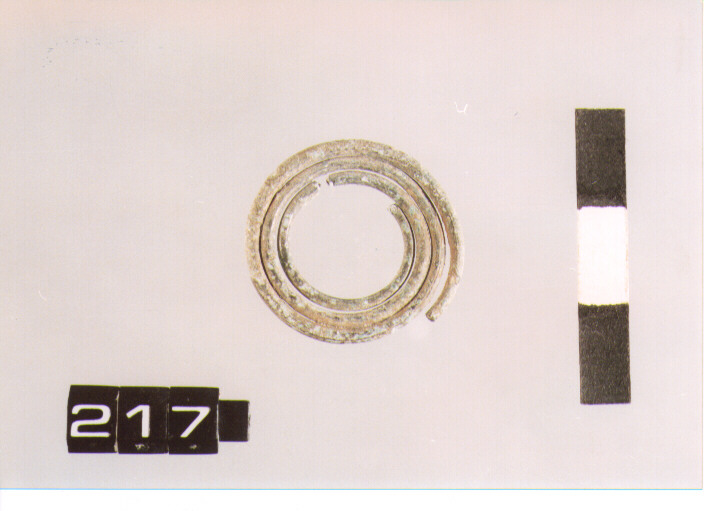 fibula/ spirale (SECC. IX\VIII A.C)