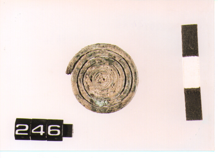 fibula/ spirale (SEC. VIII A.C)