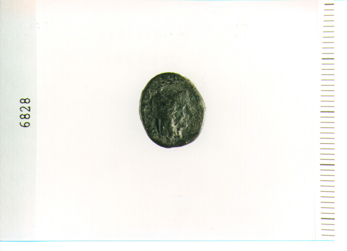 MONETA NON ID (SEC. IV/III A.C)