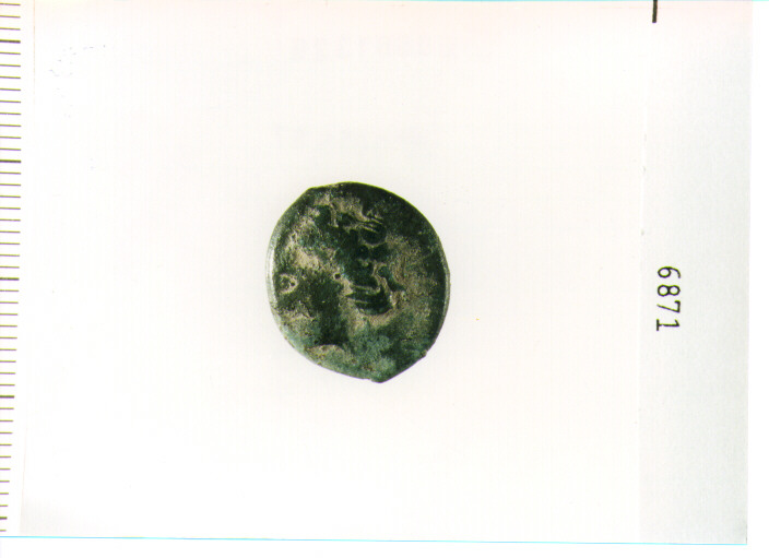 MONETA NON ID (FINE SEC. III A.C)