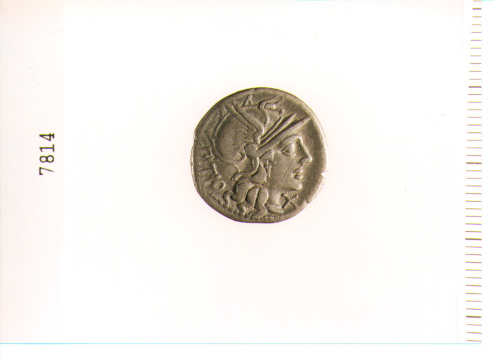 DENARIO (SEC. II A.C)